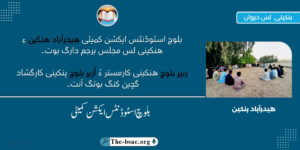Statement (4)