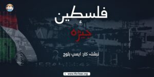 _Thumbnail (7)