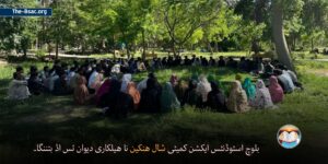 Website (3)