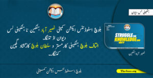 naseer abad 12