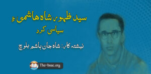 sayad hashmi 12