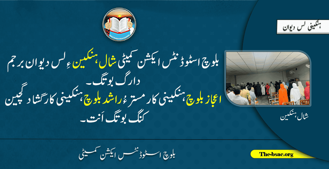 shaal hankeen (1)