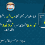 بلوچ اسٹوڈنٹس ایکشن کمیٹی ھب ہنکین ءِہنکینی لس مجلس برجم دارگ بوتگ، کمبر بلوچ ہنکینی کارمستر ءُ شیراز بلوچ ہنکینی کارگُشاد گچین کنگ بوتگ اَنت۔
