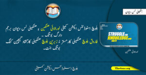 loralai copy