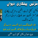 بلوچ اسٹوڈنٹس ایکشن کمیٹی تُربت ھنکین ءِ نیمگ ءَ چہ یک مزنیں ھیلکاری دیوانے ھنکینی کارمستر سعد بلوچ ءِ سروکی ءَ برجم دارگ بوتگ۔